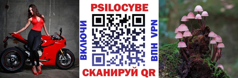 Галлюциногенные грибы GOLDEN TEACHER Белинский